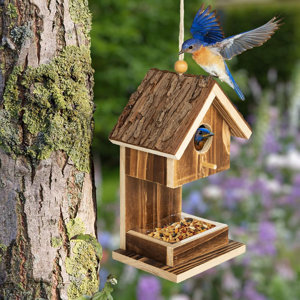 Millwood Pines Bird Houses For Outside Hanging Bird House Feeder For